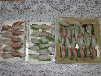 イサキ　寿司